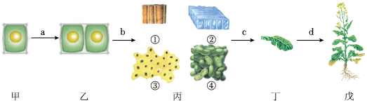 菁優(yōu)網