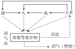 菁優(yōu)網(wǎng)