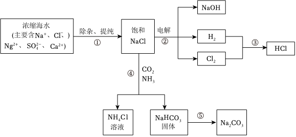 菁優(yōu)網