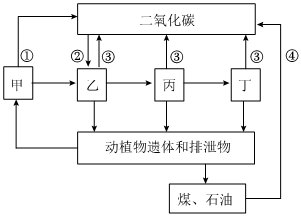 菁優(yōu)網(wǎng)