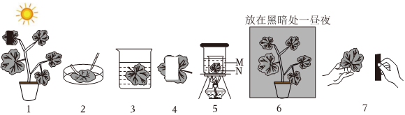 菁優(yōu)網