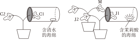 菁優(yōu)網(wǎng)