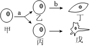 菁優(yōu)網(wǎng)