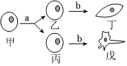 菁優(yōu)網(wǎng)