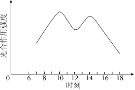 菁優(yōu)網