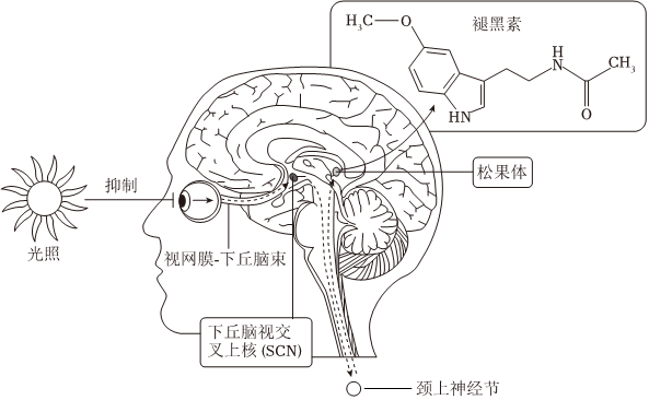 菁優(yōu)網