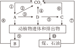 菁優(yōu)網(wǎng)