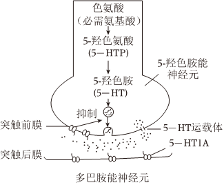 菁優(yōu)網