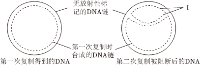 菁優(yōu)網