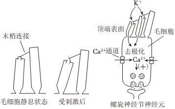 菁優(yōu)網