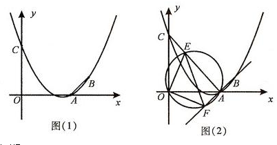 人口普查y_人口普查