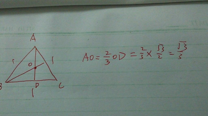 想知道这道题有几种解法,建立空间直角坐标系