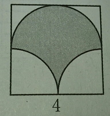 面积和周长_圆圈外的无知_学无止境作文800字