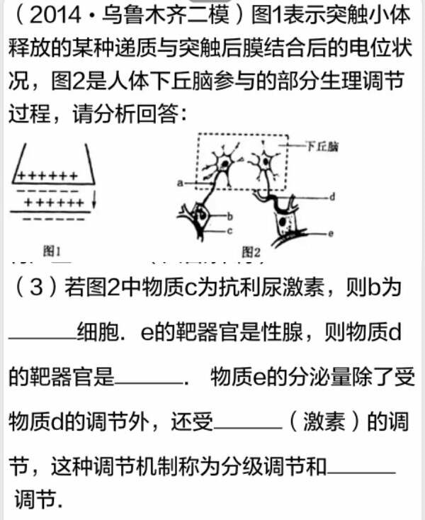 答案说: 激素e的靶器官是性腺,说明e是促性腺激