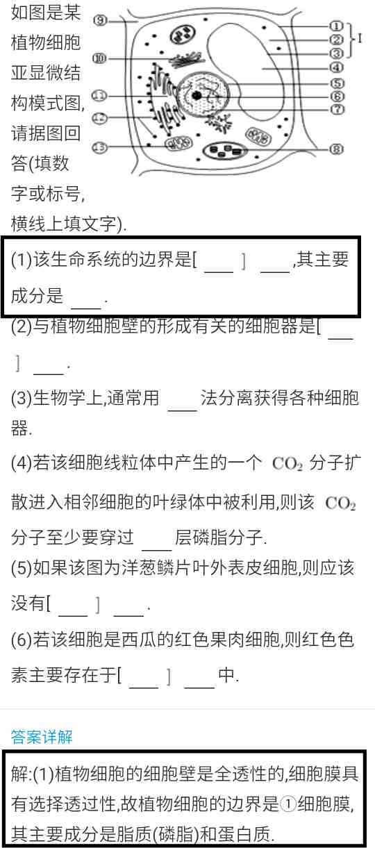 5f510539.png