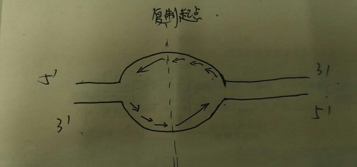 55ac8fc1.png