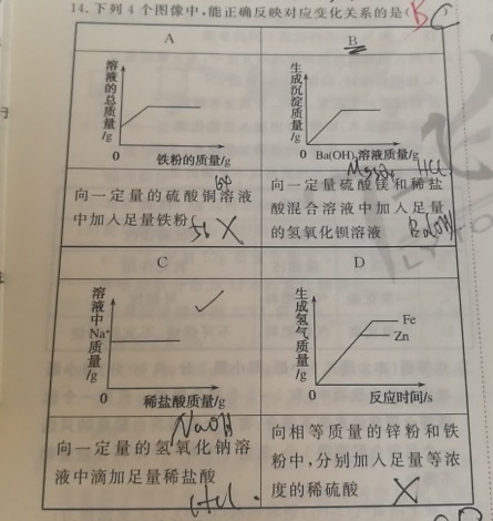 氢氧化钡和硫酸镁稀盐酸的混合物反应