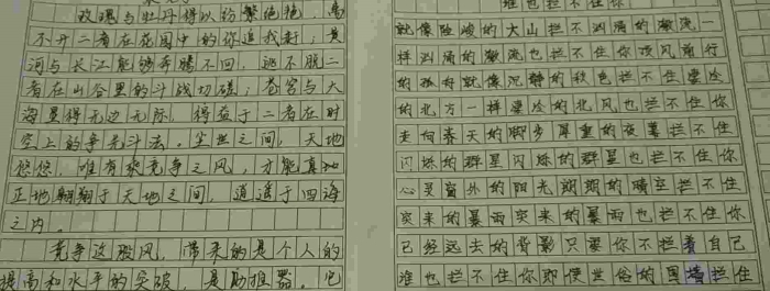 这两种字体高考我写哪个好,求帮忙解答