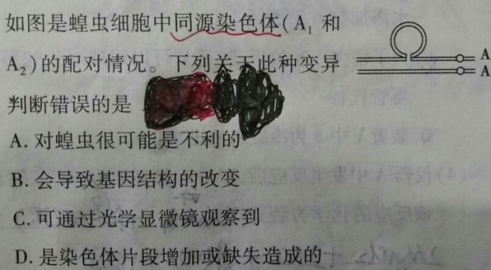 35dc909e.png