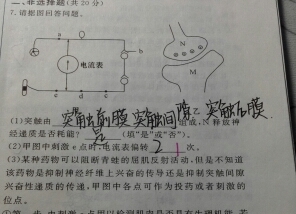 c0063b5a.png