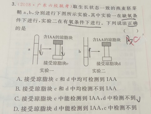 缺氧简谱_儿歌简谱(2)