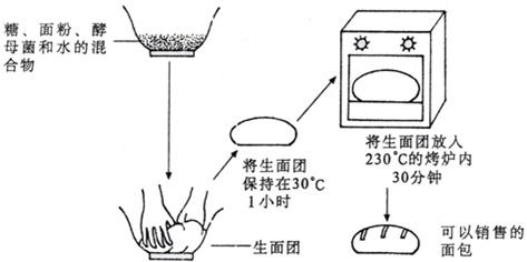 菁优网