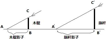 一根50釐米長的木棍,豎直立在水平地面上,影子的長是40釐米,與此同時