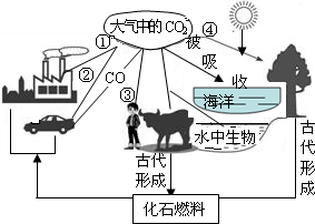 菁優(yōu)網(wǎng)