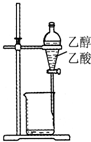 菁優(yōu)網