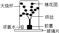 菁優(yōu)網