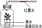 菁優(yōu)網(wǎng)