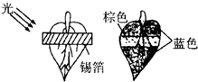 菁優(yōu)網(wǎng)