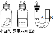 菁優(yōu)網