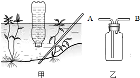 菁優(yōu)網