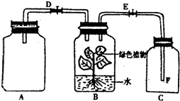 菁優(yōu)網(wǎng)