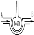 菁優(yōu)網(wǎng)