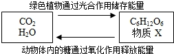 菁優(yōu)網(wǎng)