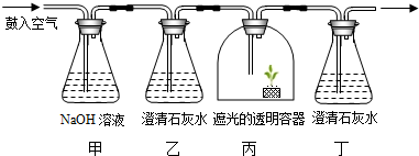 菁優(yōu)網