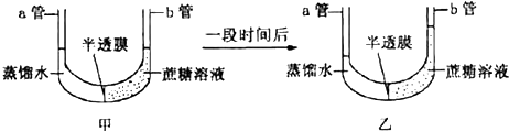 菁優(yōu)網