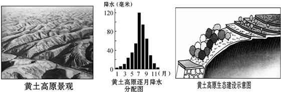 菁優(yōu)網