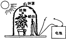 菁優(yōu)網(wǎng)