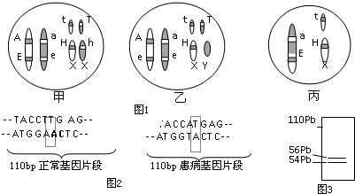 血管紧张素原,先天性夜盲症的遗传,x,y分别表示性染色体