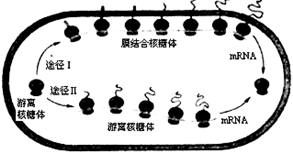 菁優(yōu)網