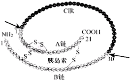 菁優(yōu)網