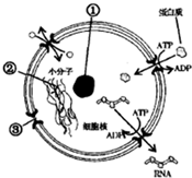 菁優(yōu)網(wǎng)