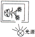 菁優(yōu)網(wǎng)