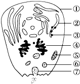 菁優(yōu)網