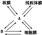 菁優(yōu)網(wǎng)