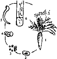 菁優(yōu)網