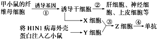 菁優(yōu)網(wǎng)